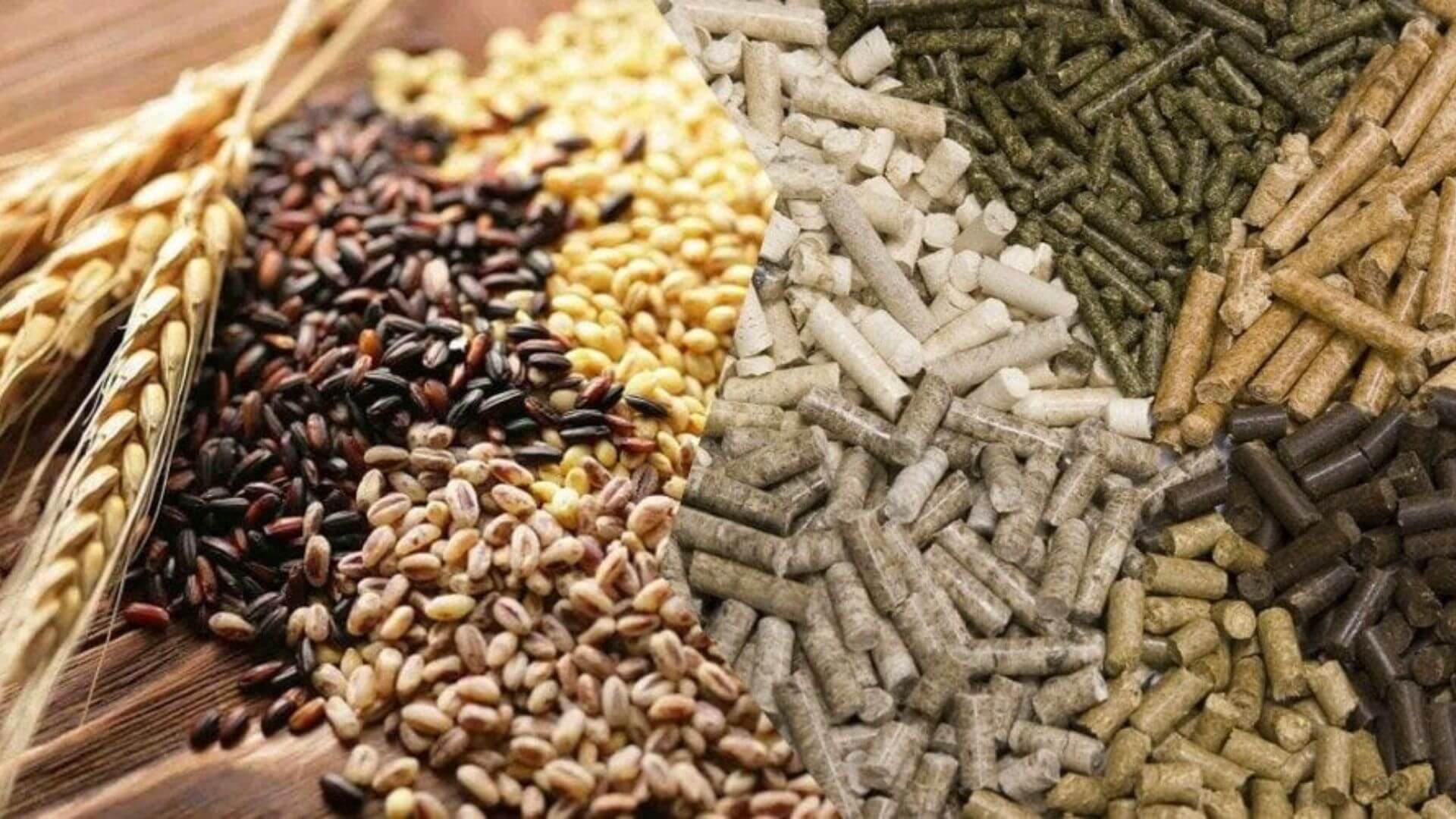 Комбикормы