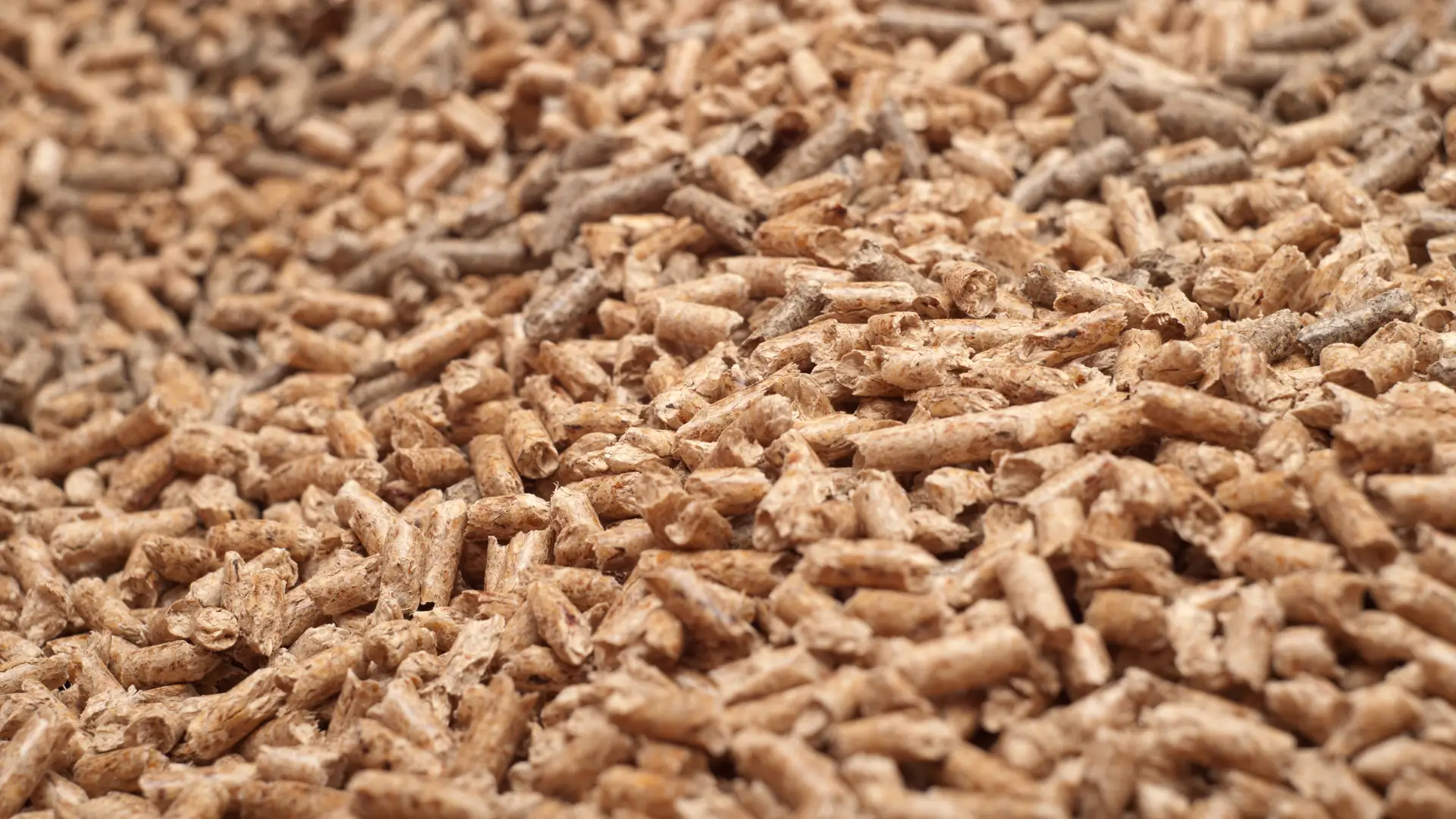 Вибір палива для твердопаливного парогенератора: вугілля, пелети чи дрова?