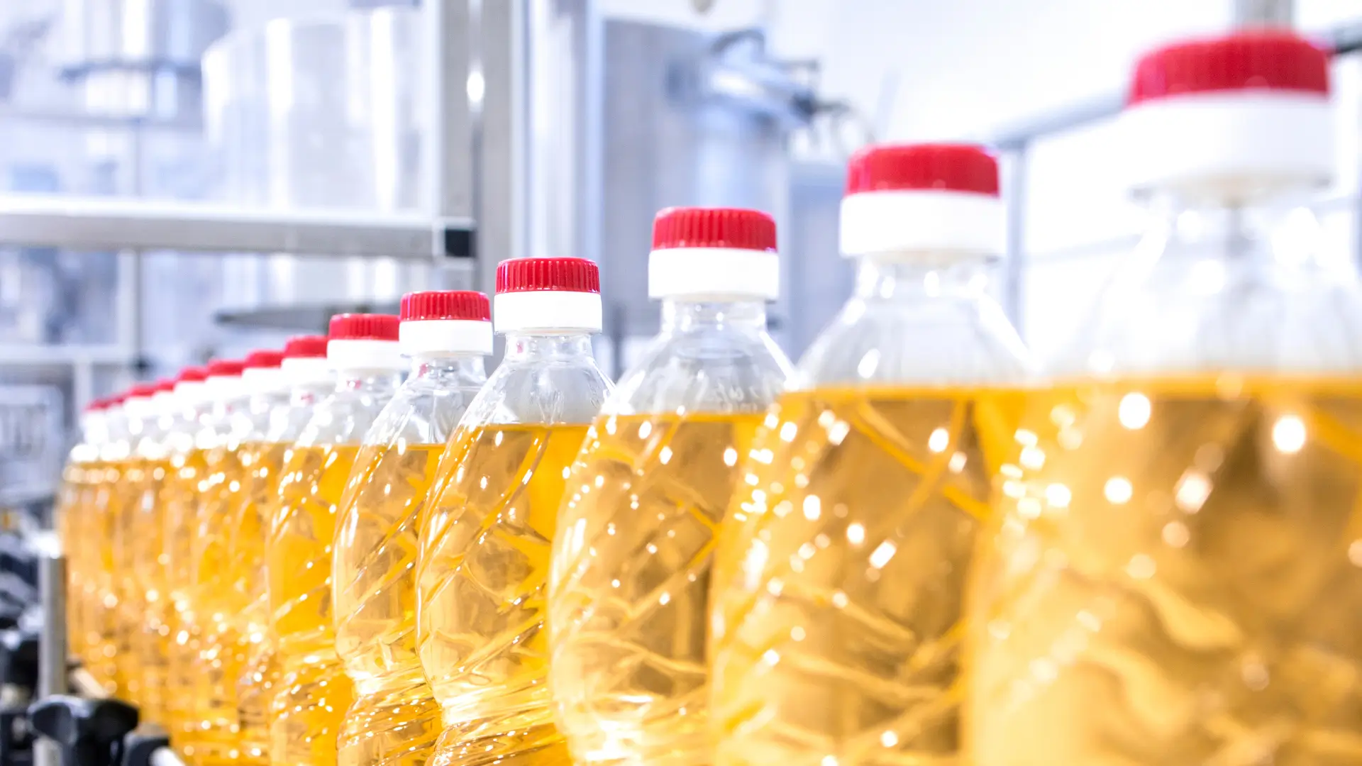 Промислові парові котли на масложирових комбінатах: непомітний, але ключовий елемент виробництва